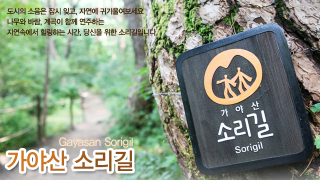원본이미지(클릭)