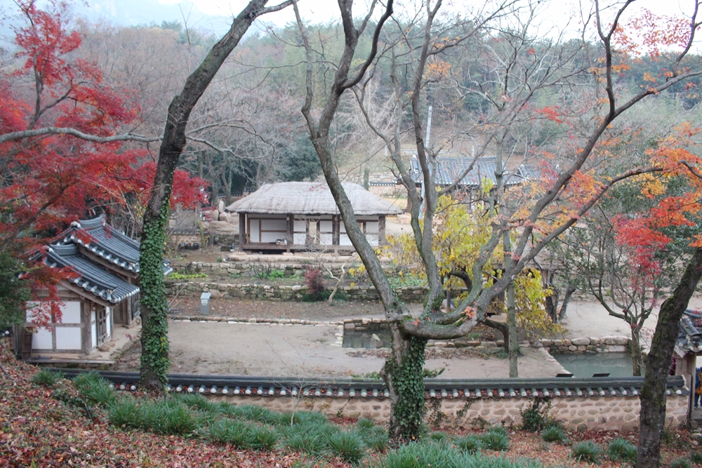 원본이미지(클릭)