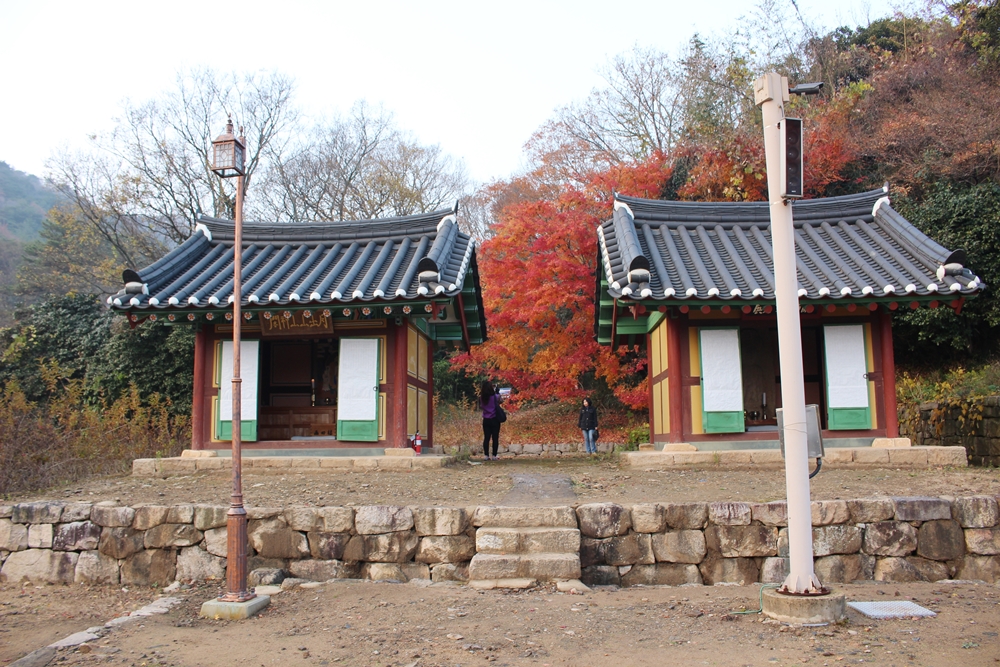원본이미지(클릭)