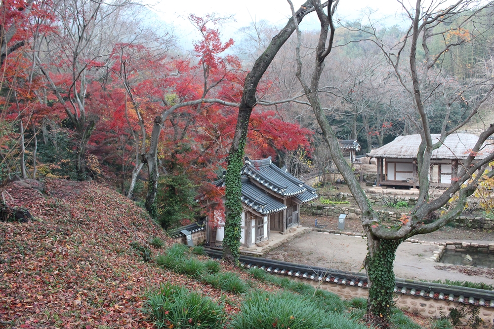 원본이미지(클릭)