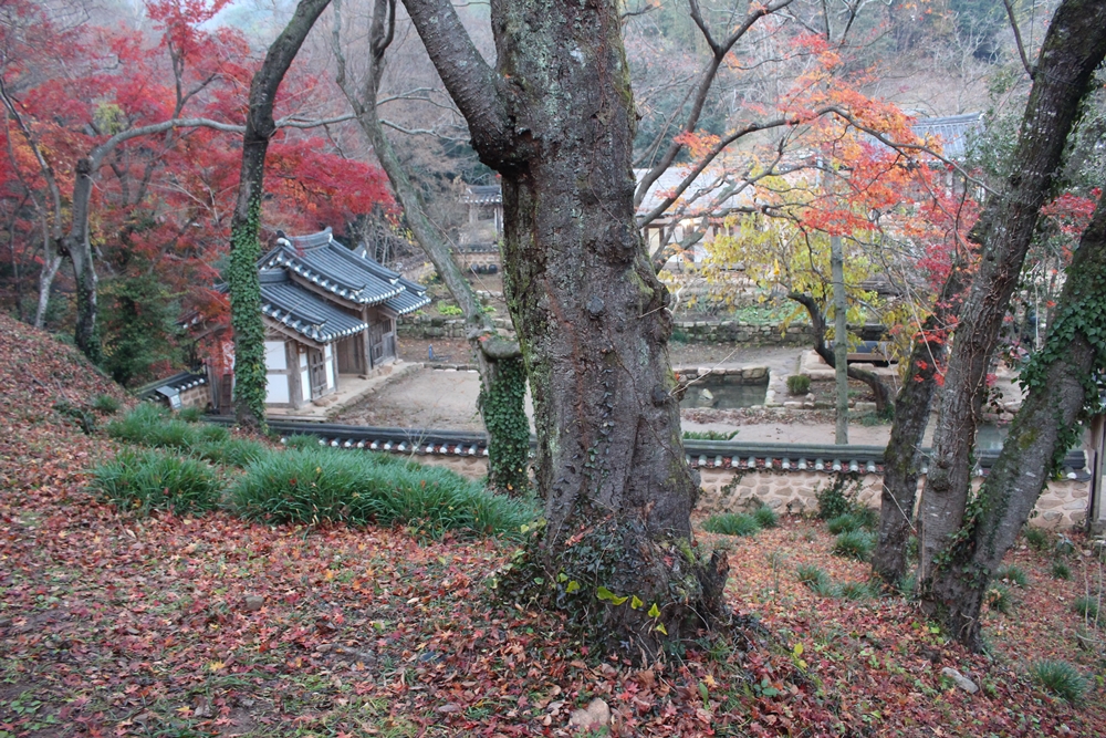 원본이미지(클릭)