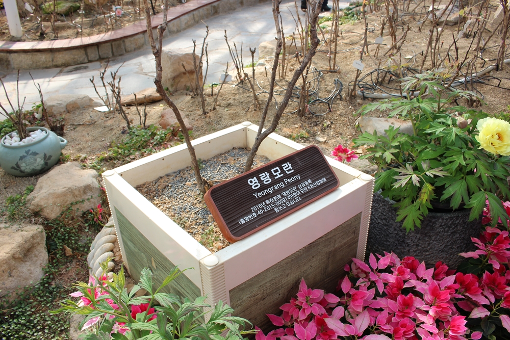 원본이미지(클릭)