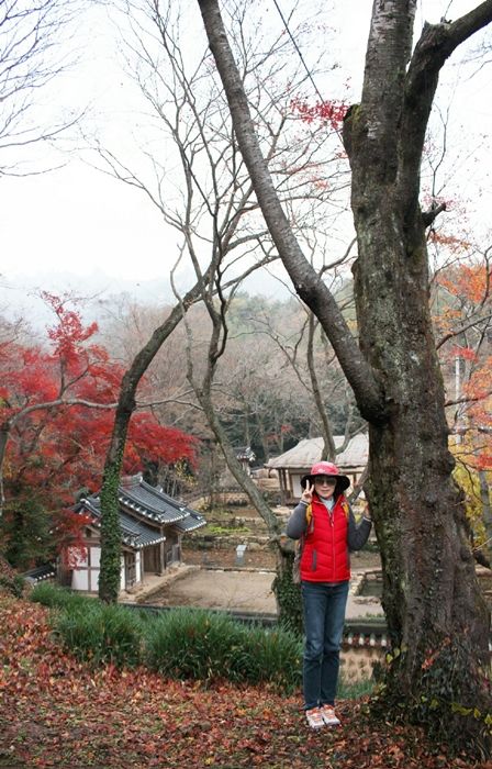 원본이미지(클릭)