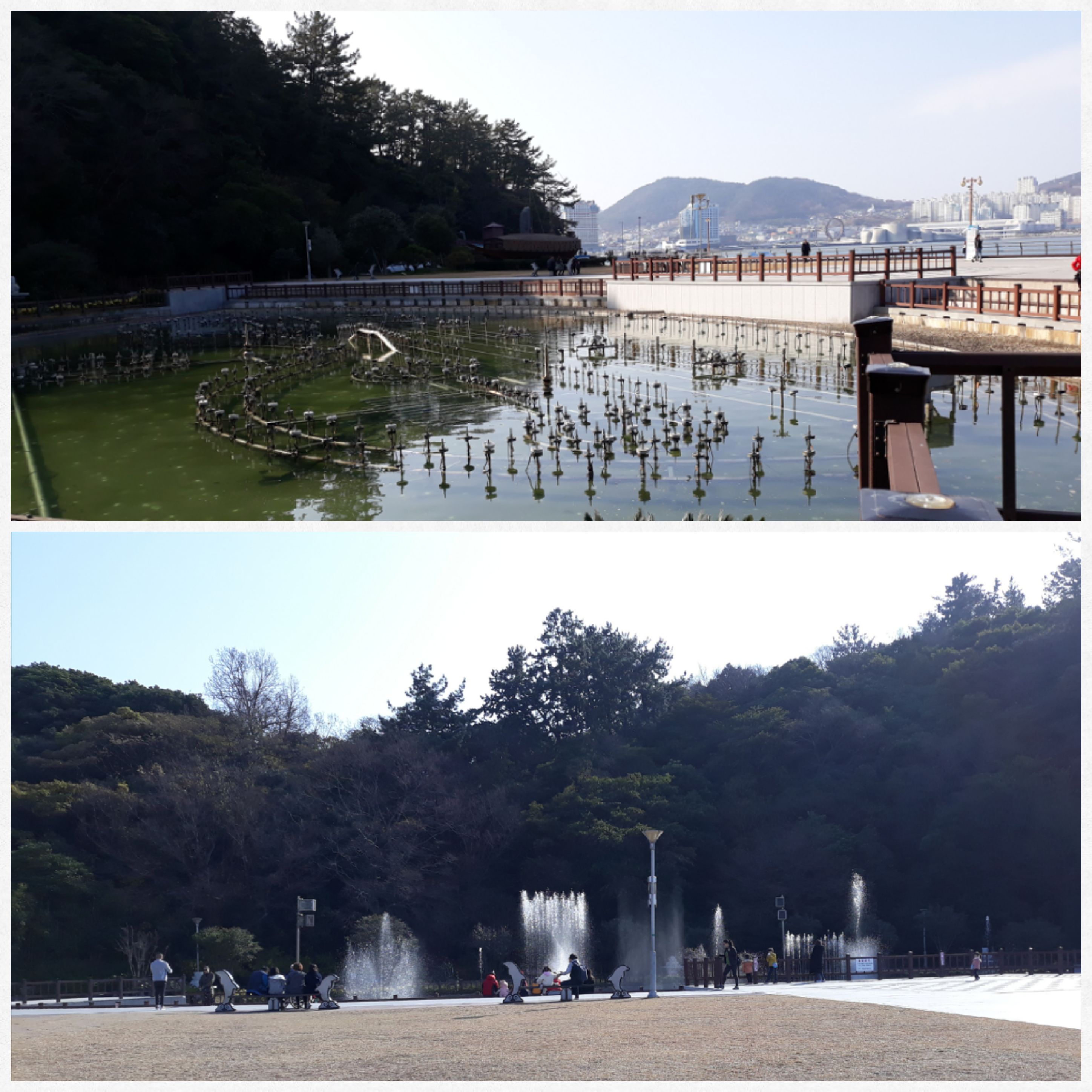 원본이미지(클릭)