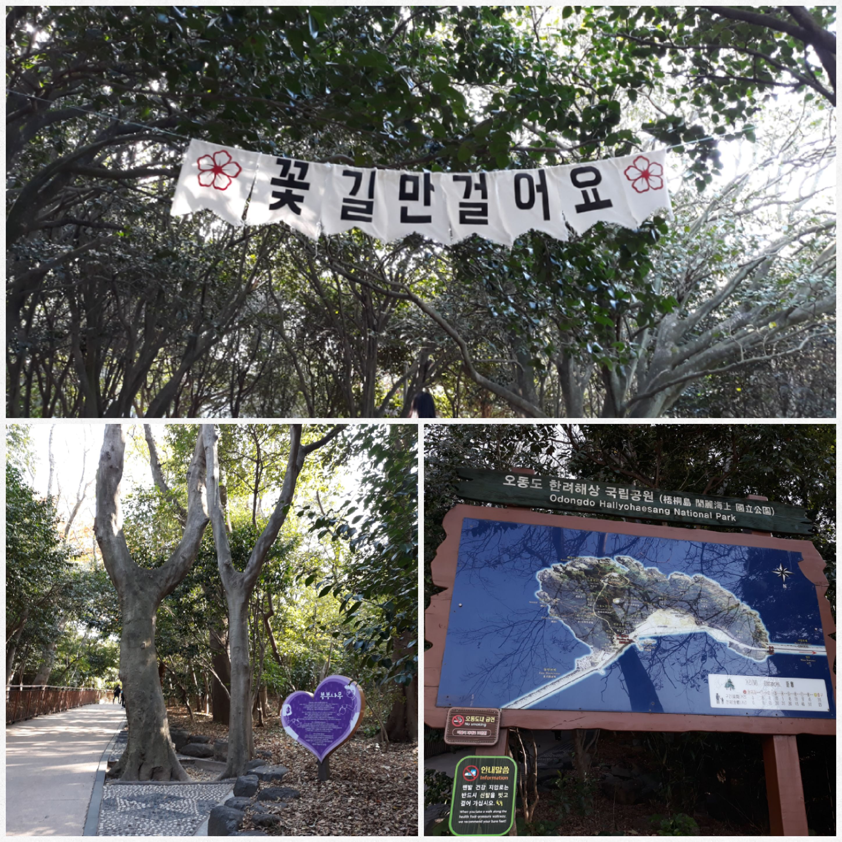 원본이미지(클릭)