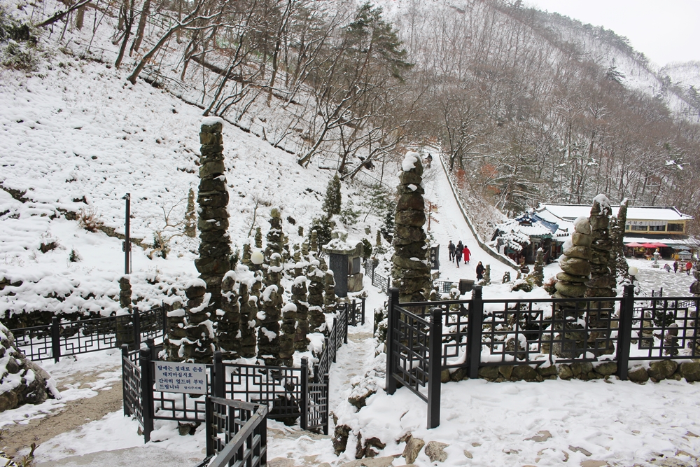 원본이미지(클릭)