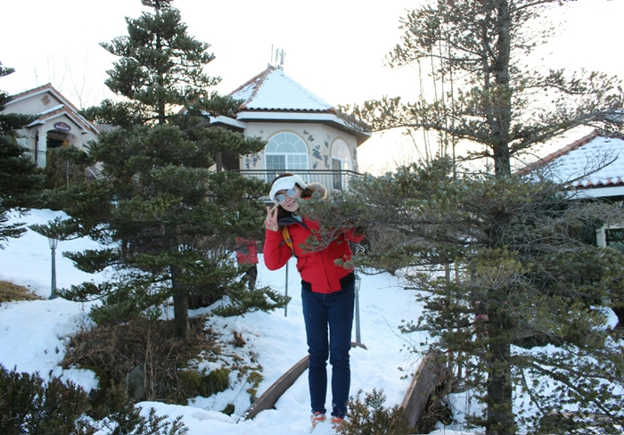 원본이미지(클릭)