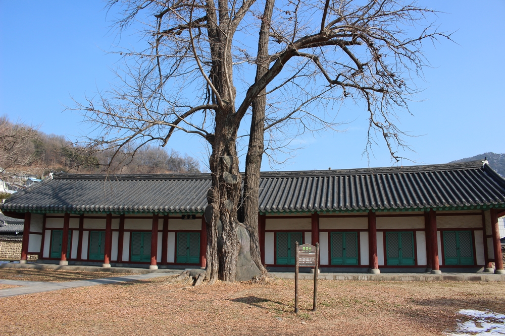 원본이미지(클릭)