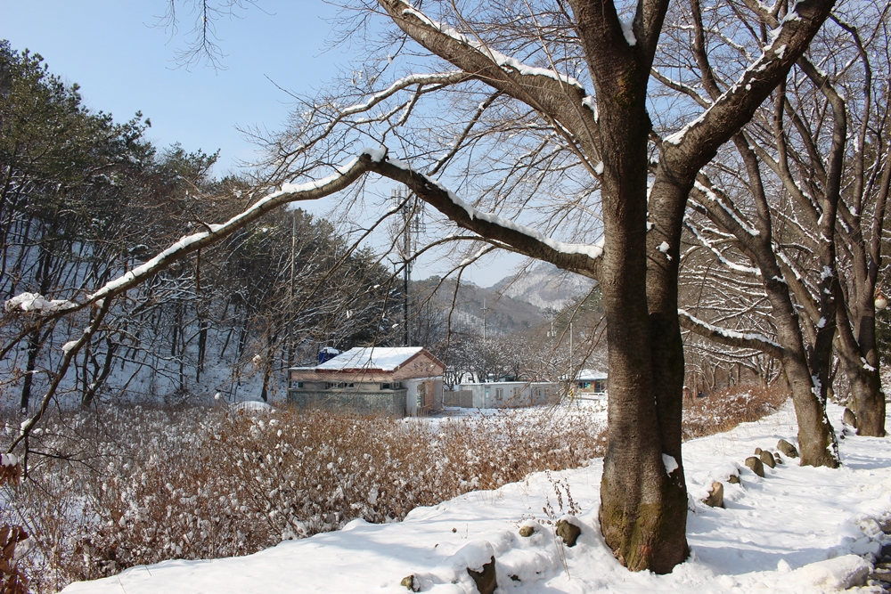 원본이미지(클릭)
