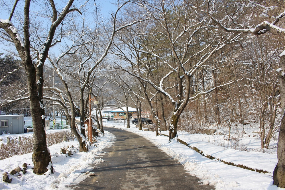 원본이미지(클릭)