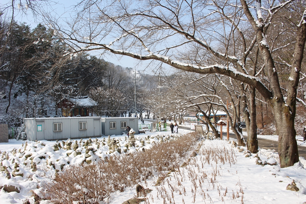 원본이미지(클릭)