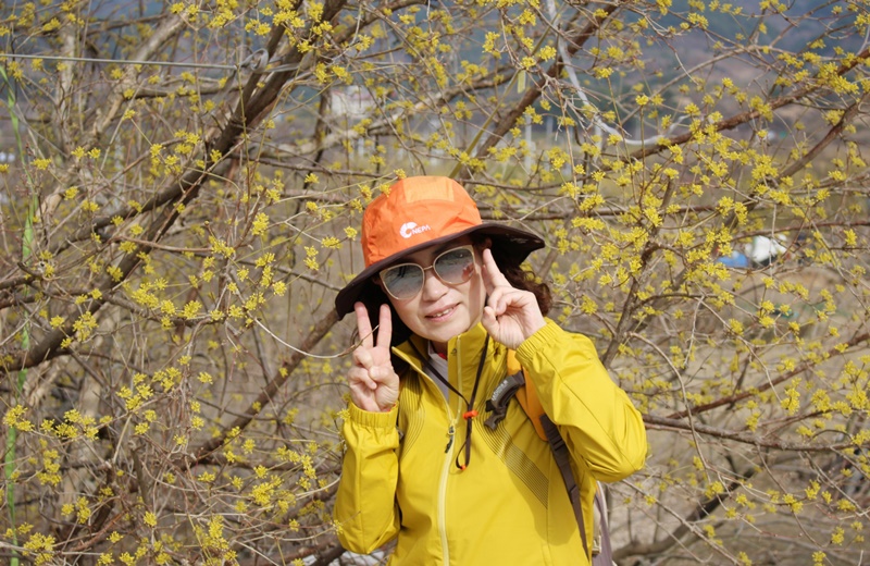 원본이미지(클릭)