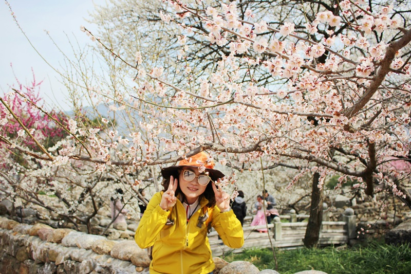 원본이미지(클릭)