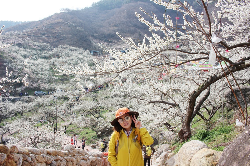 원본이미지(클릭)