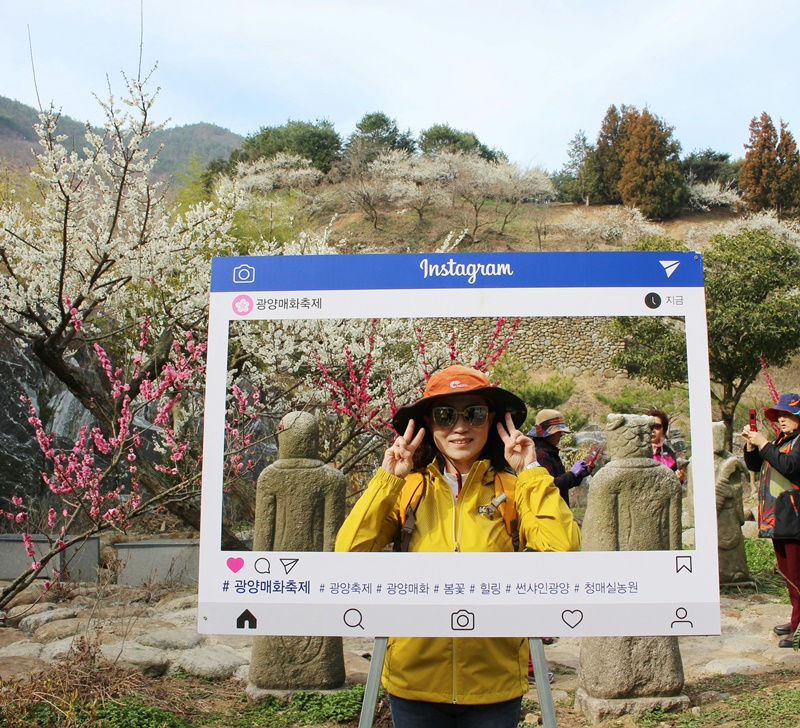원본이미지(클릭)
