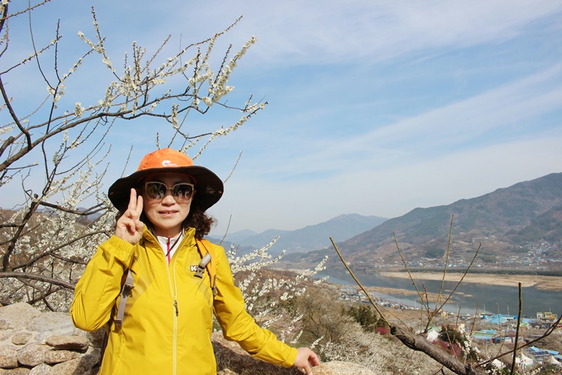 원본이미지(클릭)