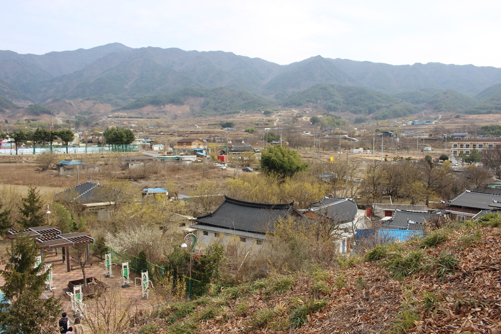 원본이미지(클릭)