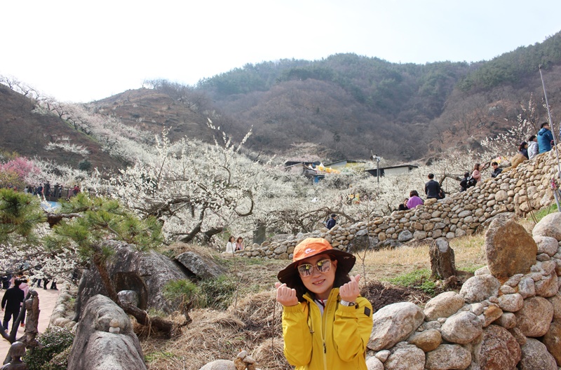 원본이미지(클릭)