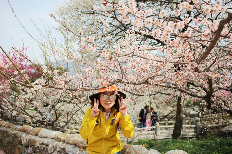 원본이미지(클릭)