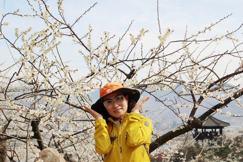 원본이미지(클릭)