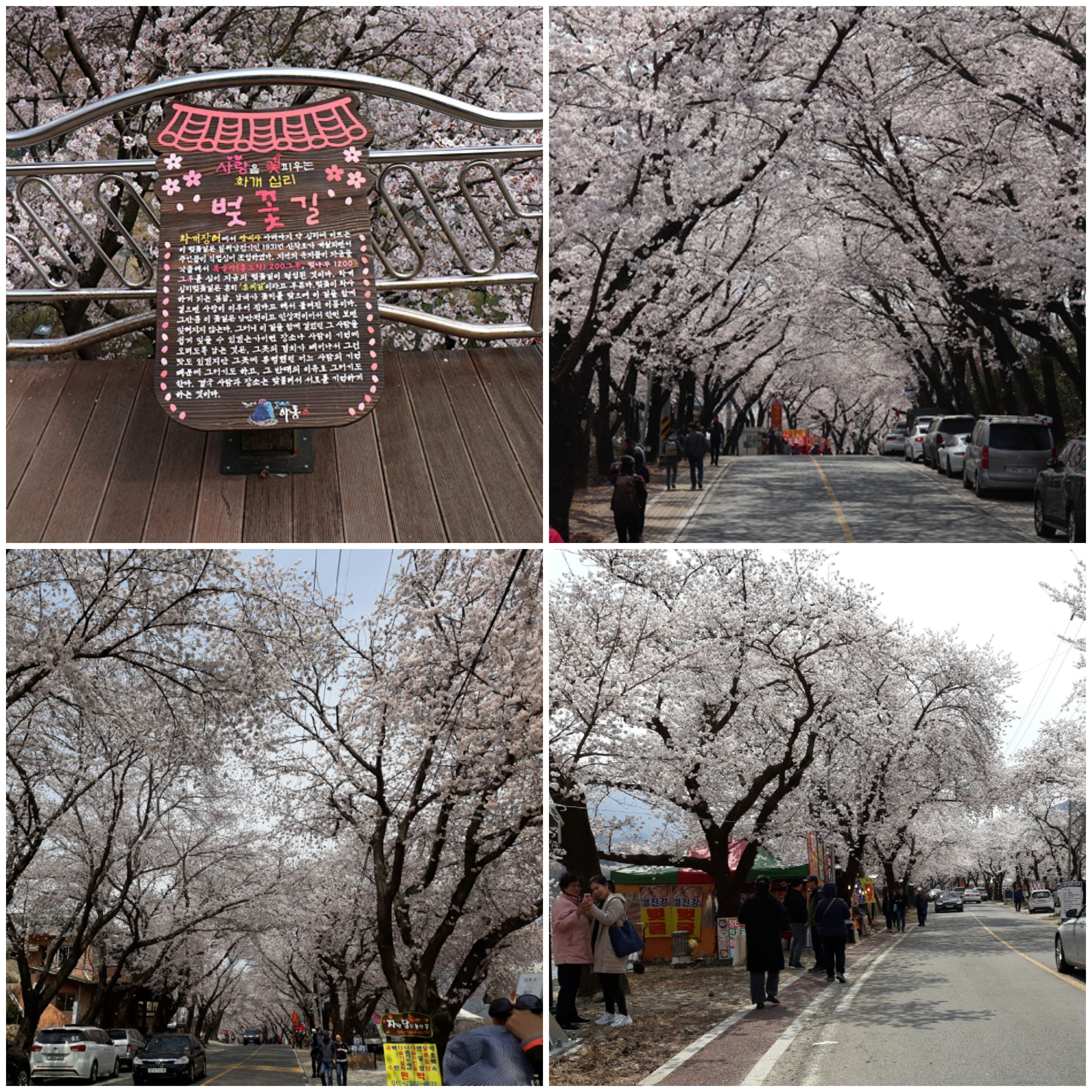 원본이미지(클릭)