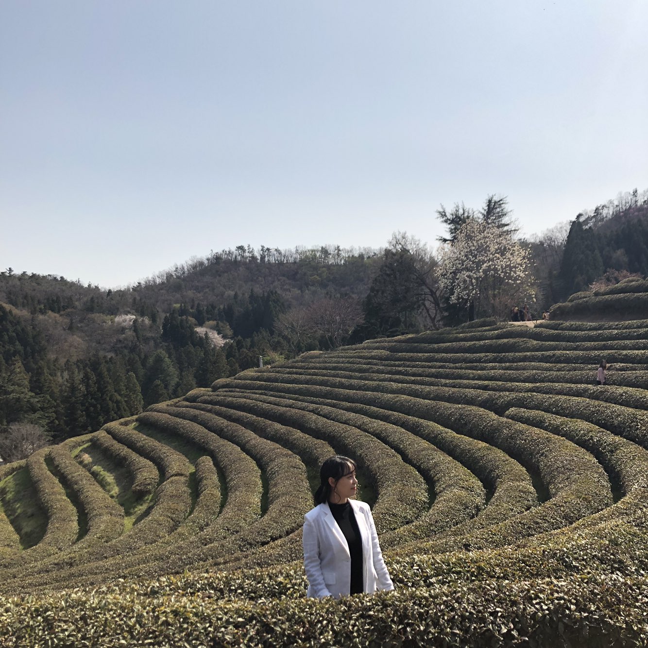 원본이미지(클릭)