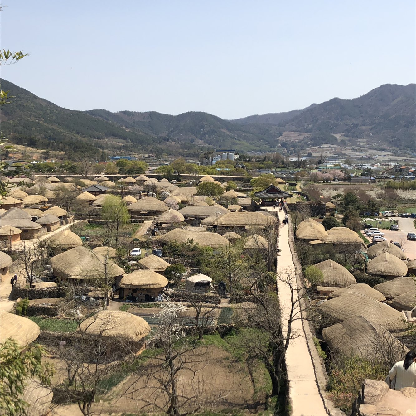 원본이미지(클릭)