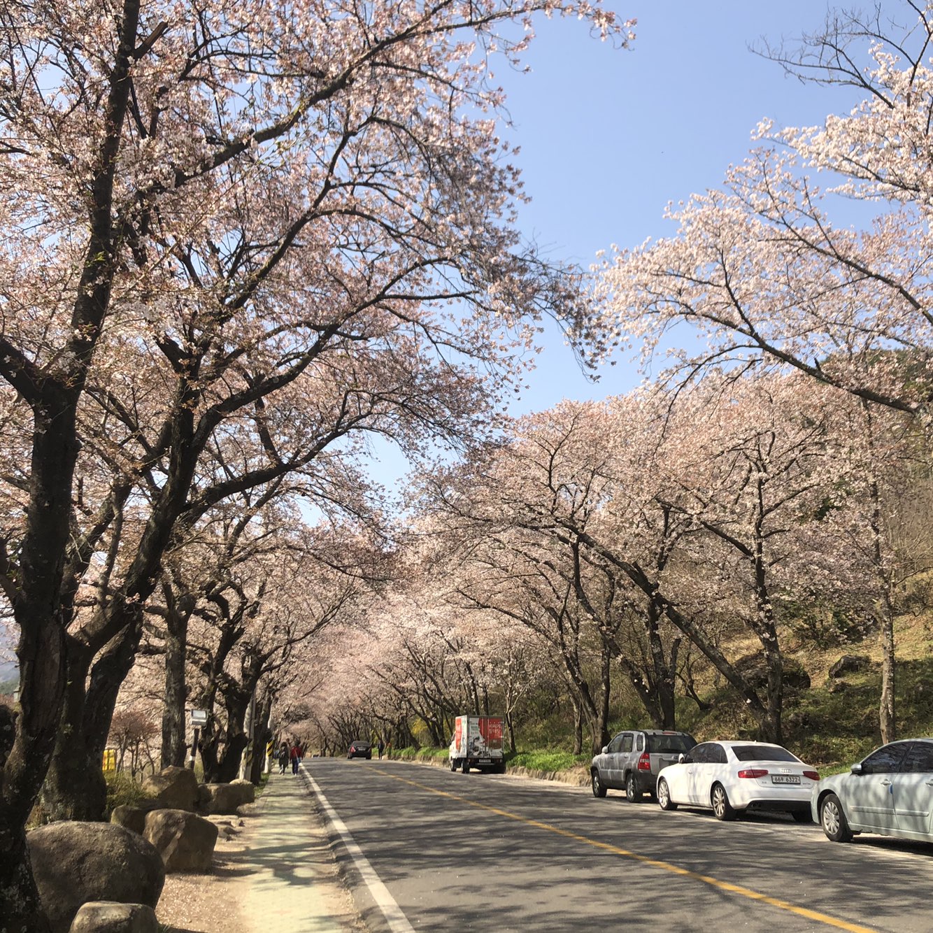 원본이미지(클릭)