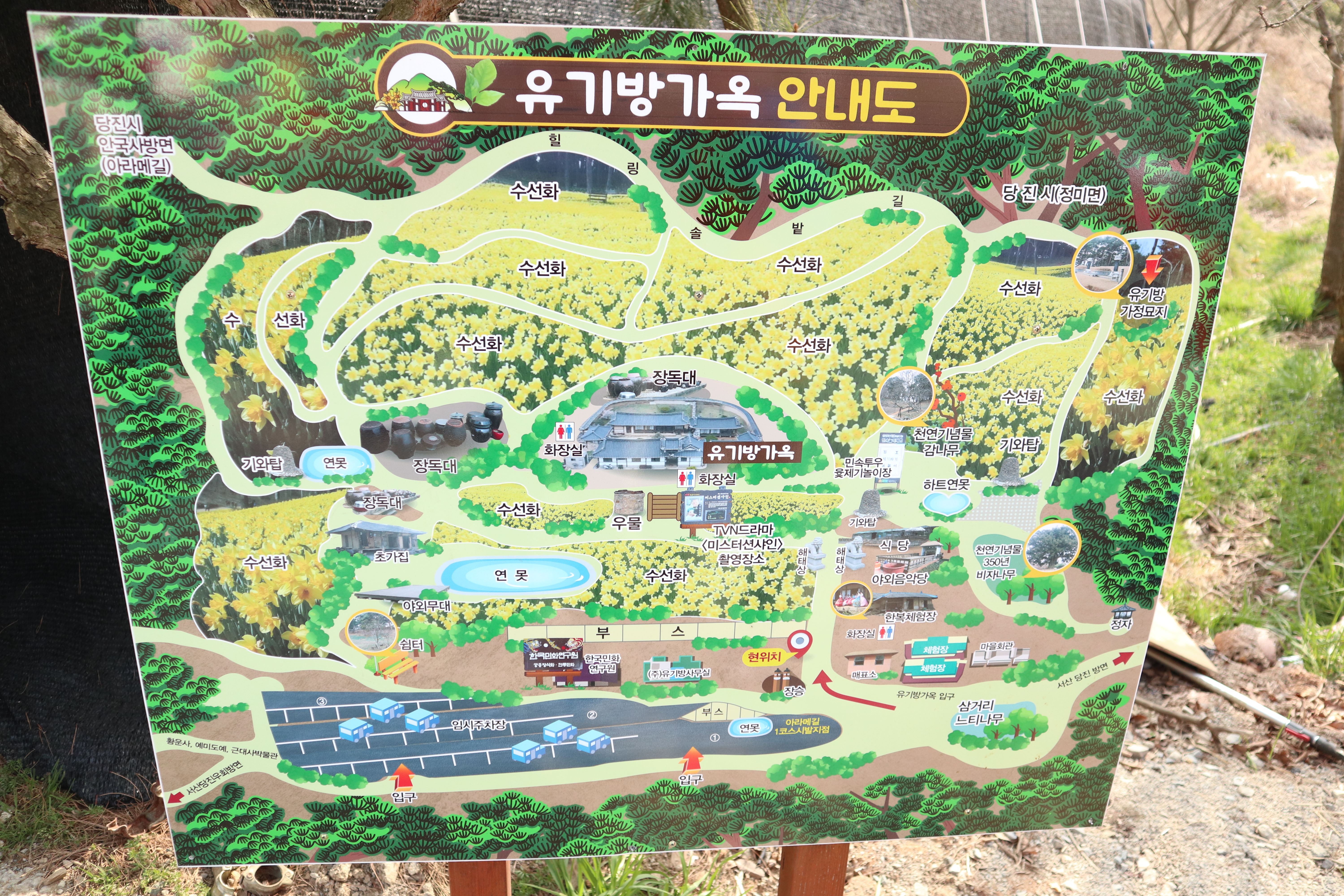 원본이미지(클릭)