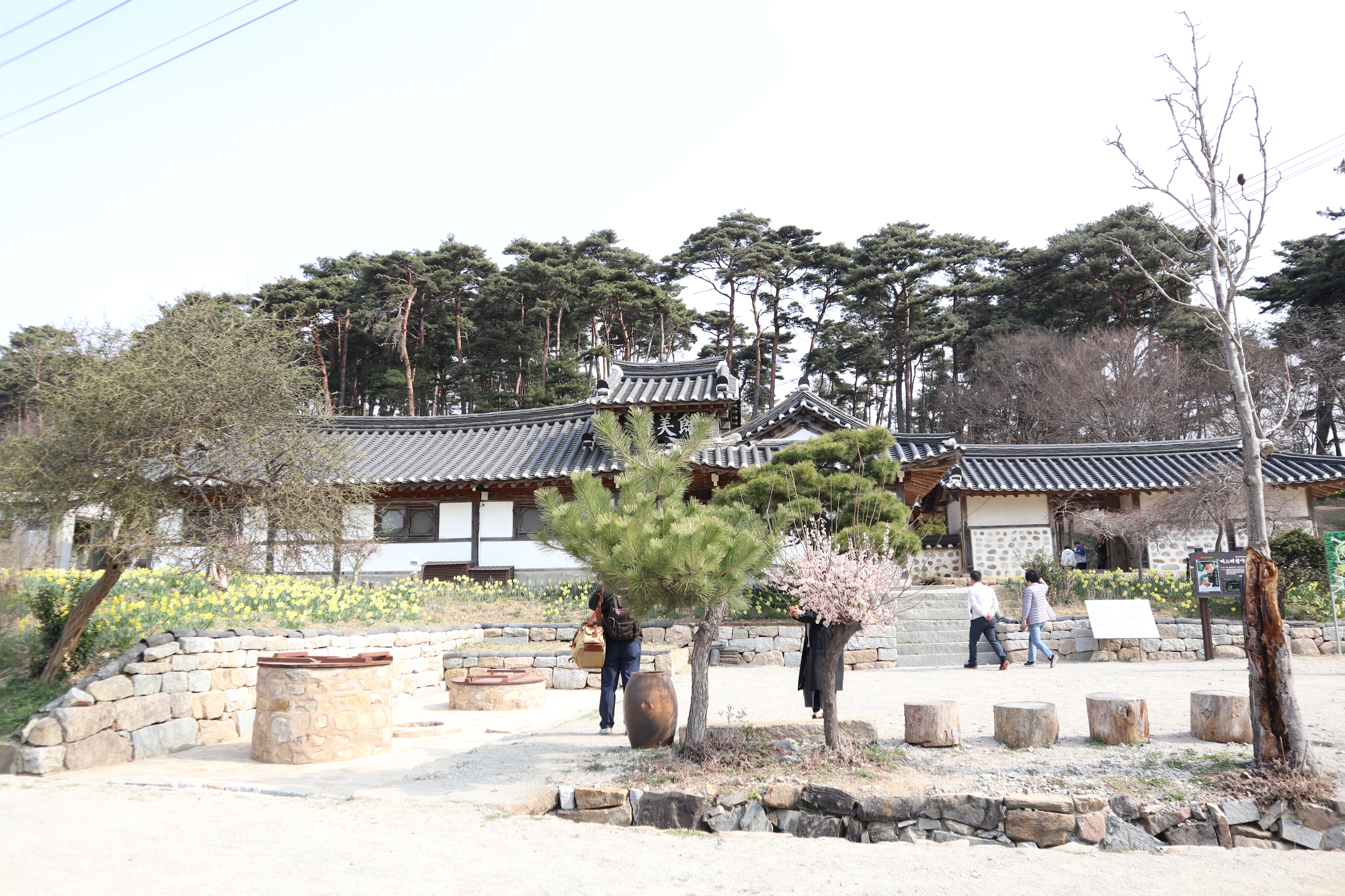 원본이미지(클릭)