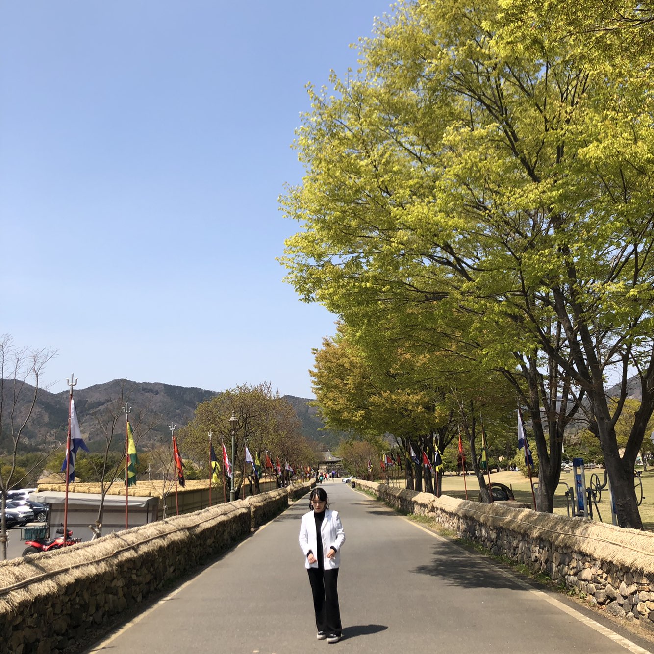 원본이미지(클릭)
