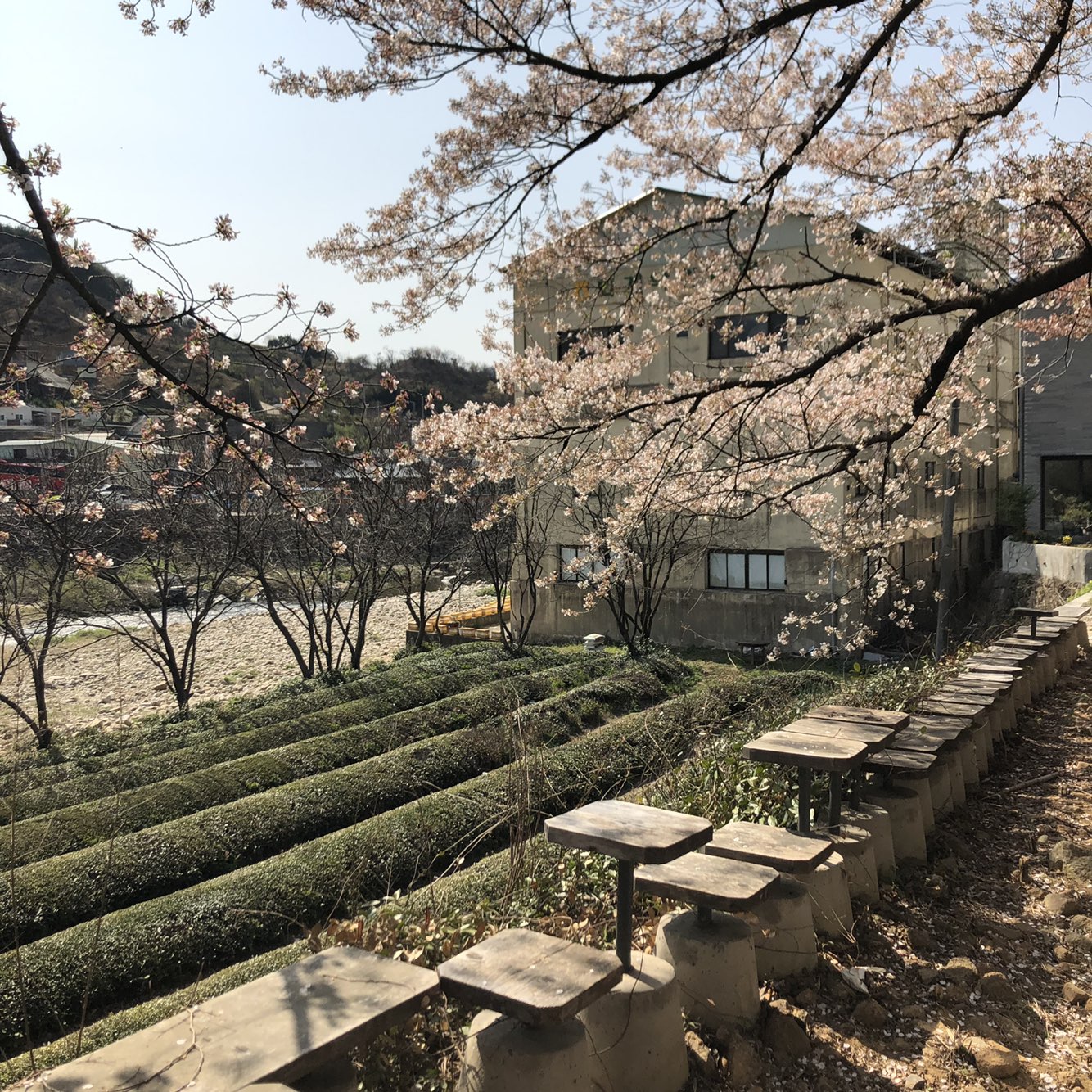원본이미지(클릭)