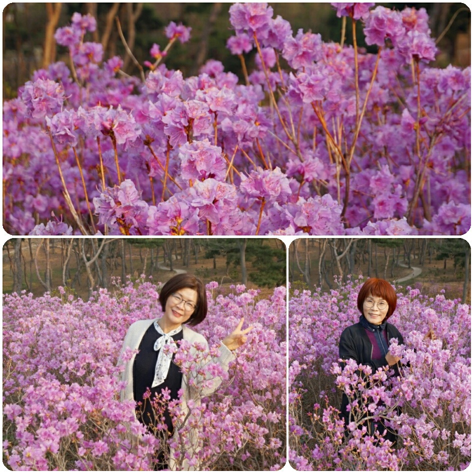 원본이미지(클릭)