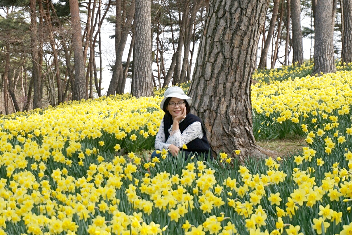 원본이미지(클릭)