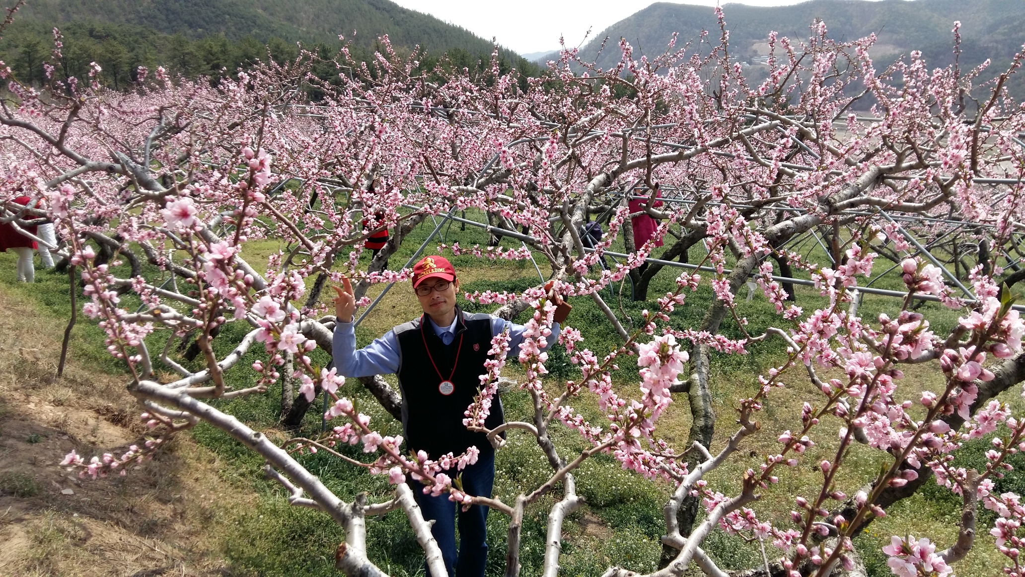 원본이미지(클릭)
