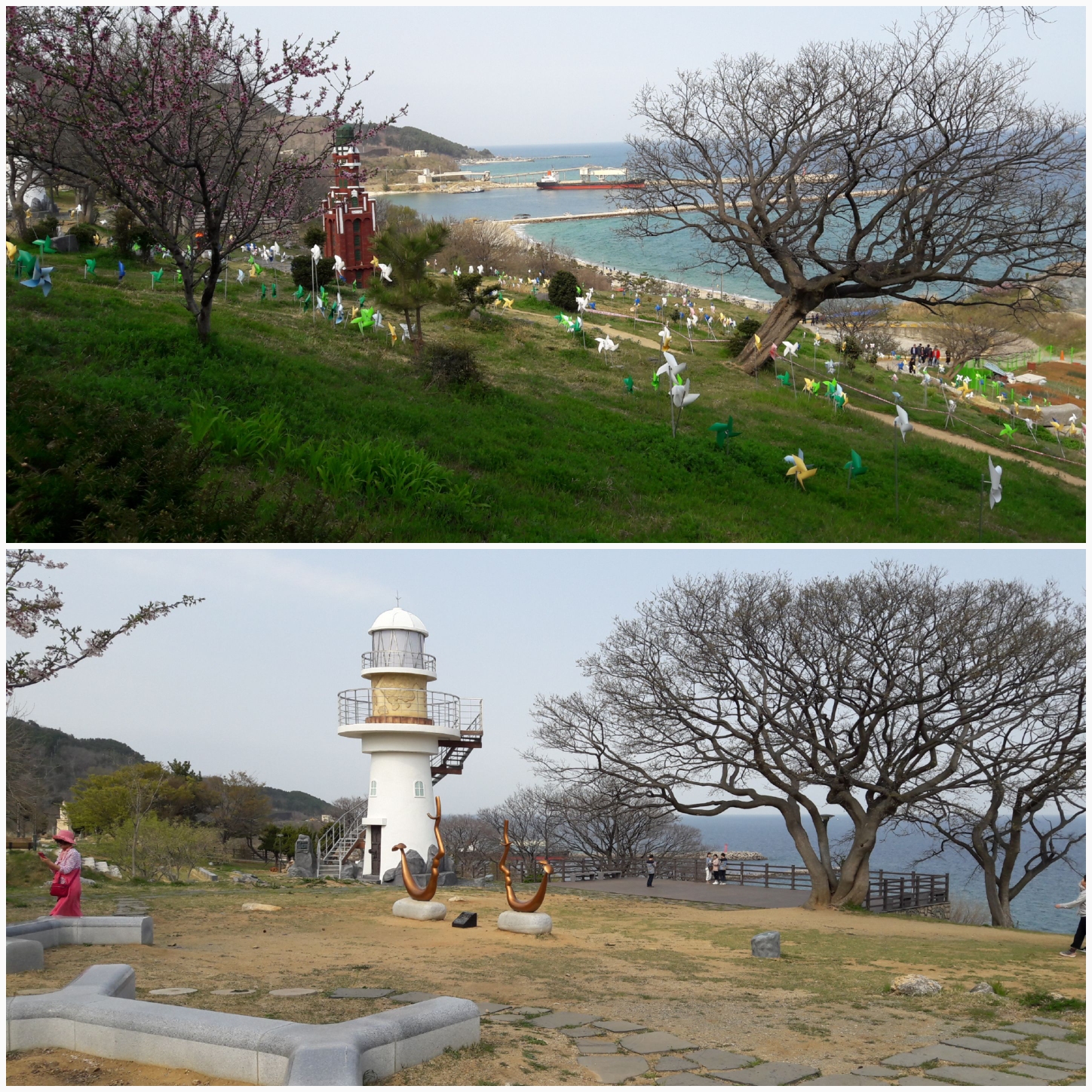 원본이미지(클릭)