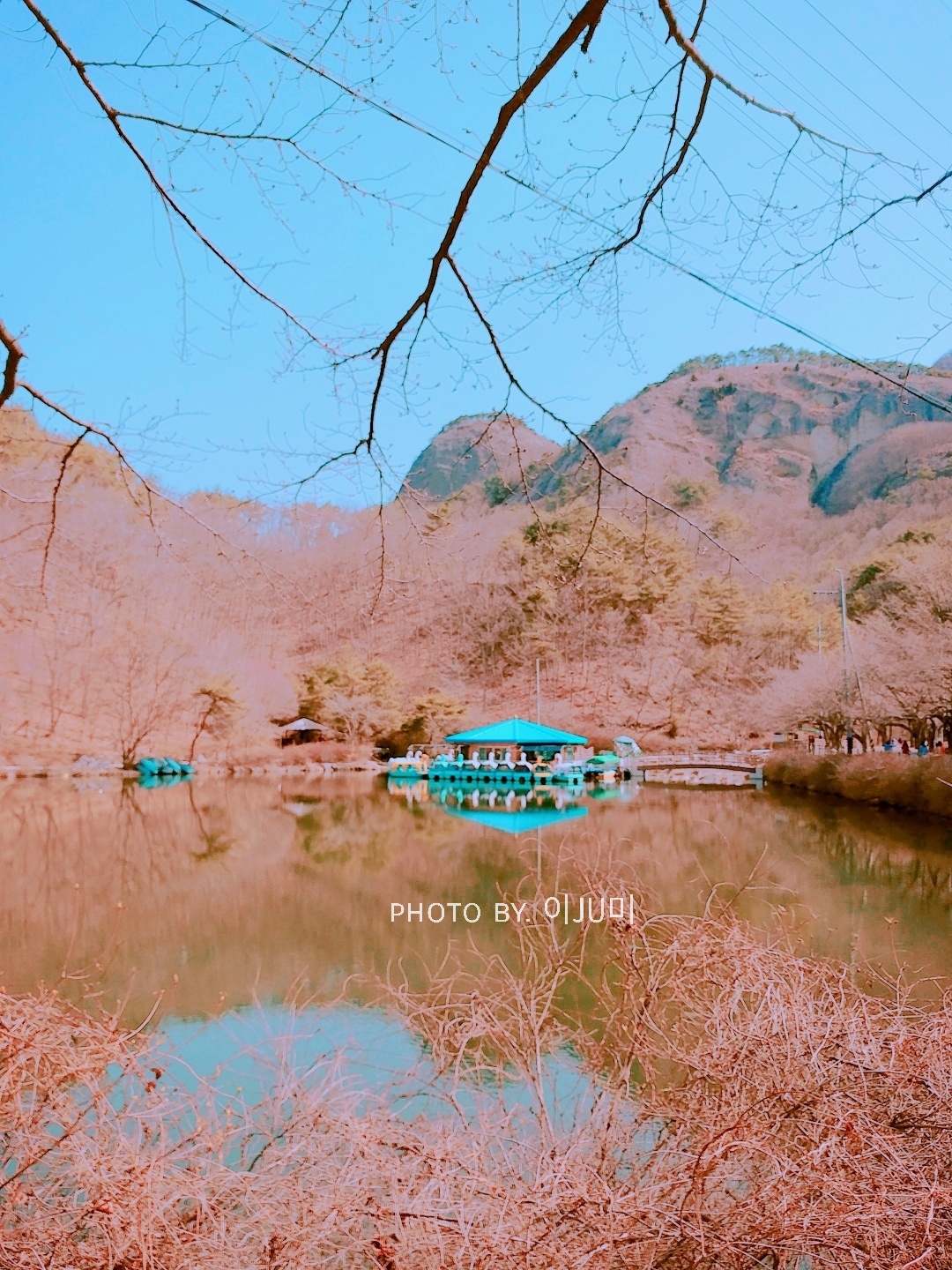원본이미지(클릭)