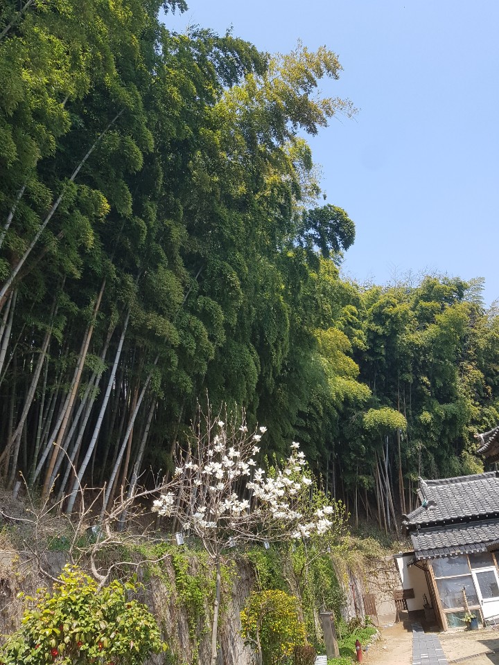 원본이미지(클릭)