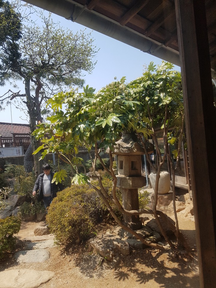 원본이미지(클릭)