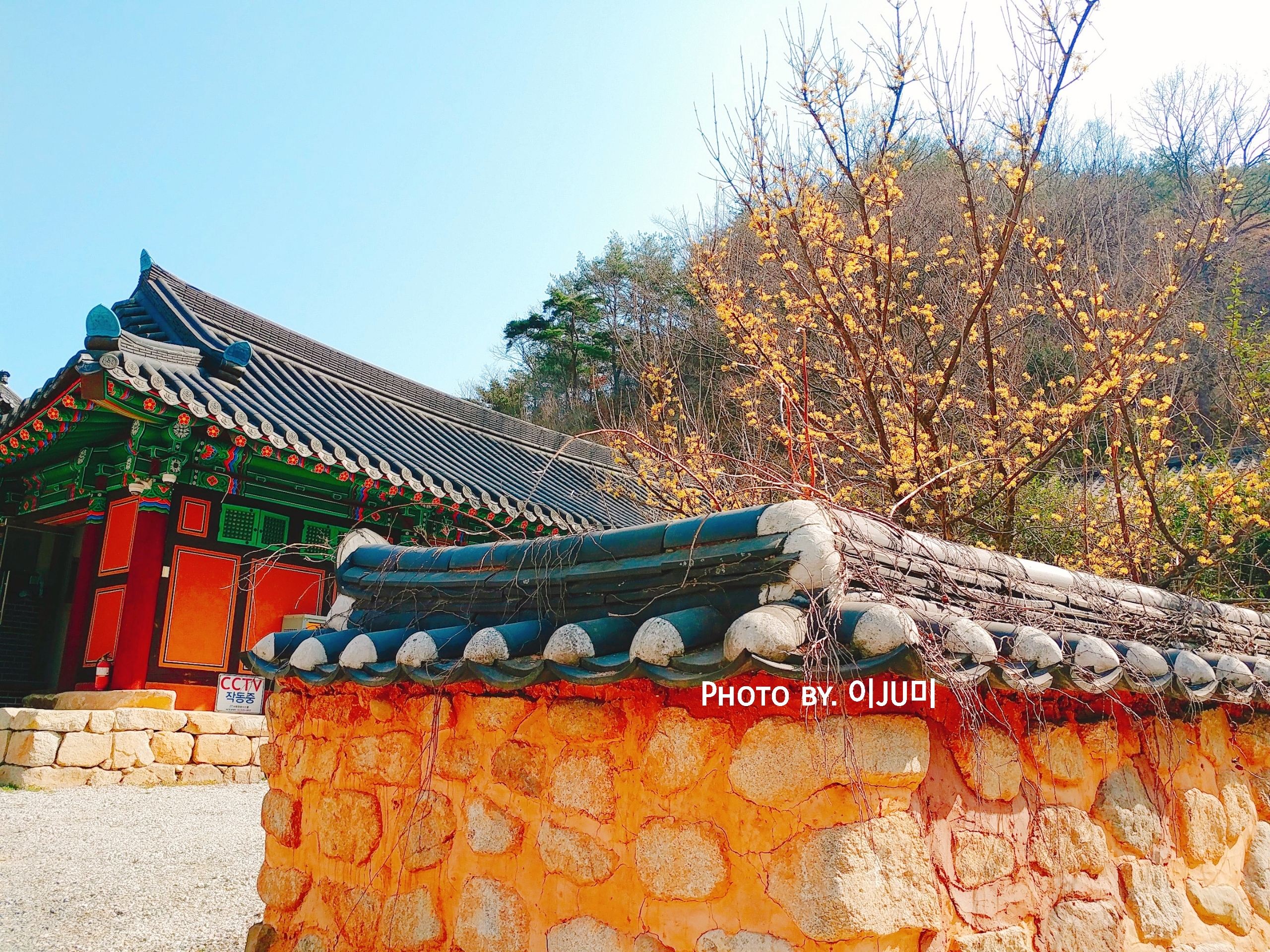 원본이미지(클릭)