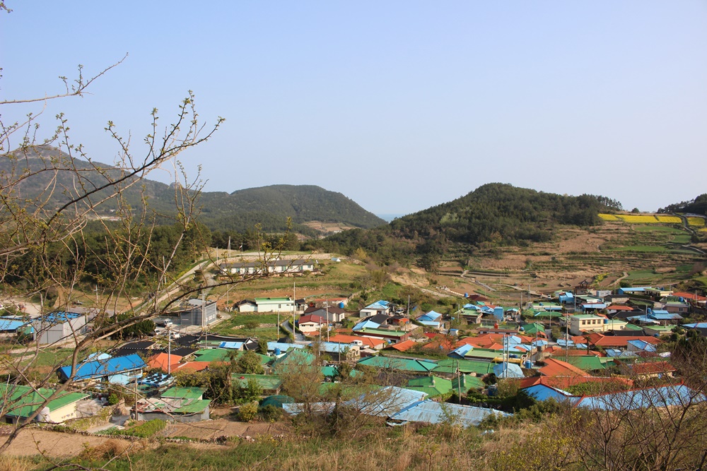 원본이미지(클릭)