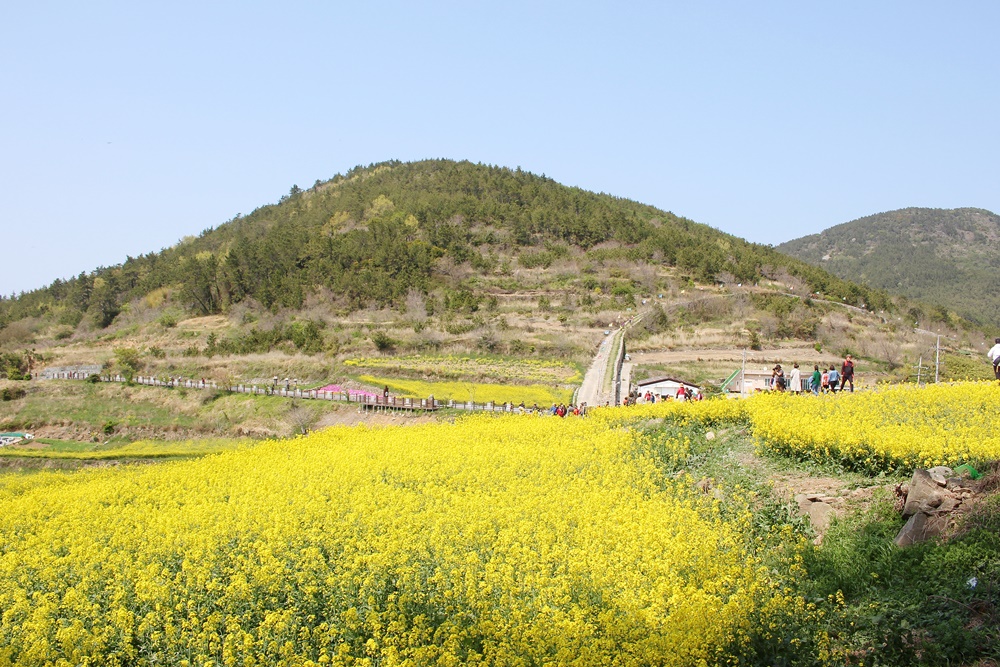 원본이미지(클릭)