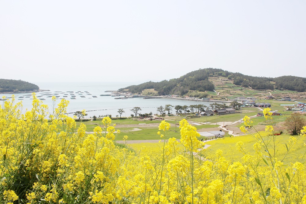 원본이미지(클릭)