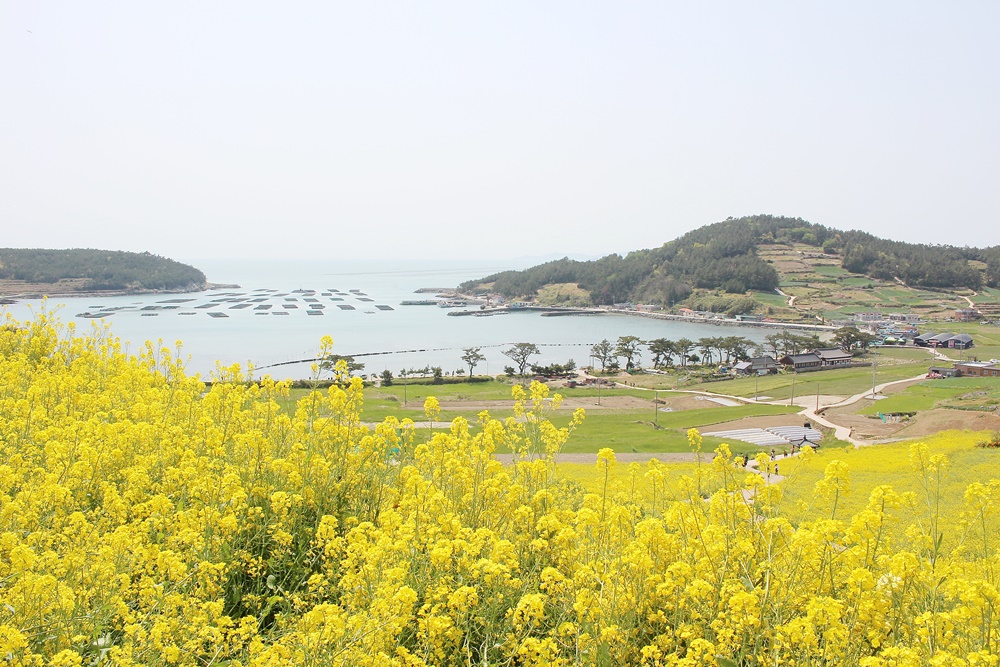 원본이미지(클릭)