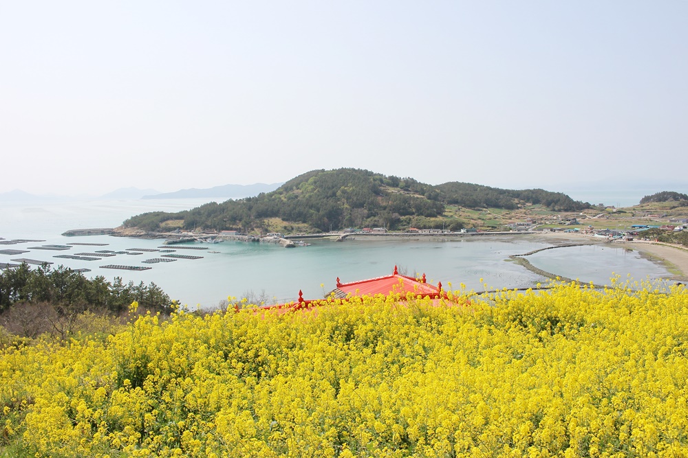 원본이미지(클릭)