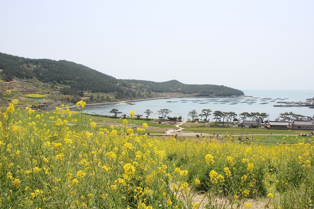 원본이미지(클릭)