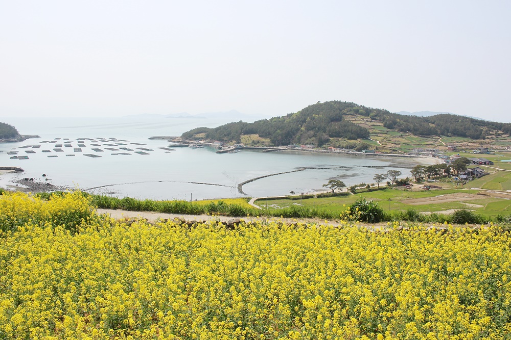 원본이미지(클릭)