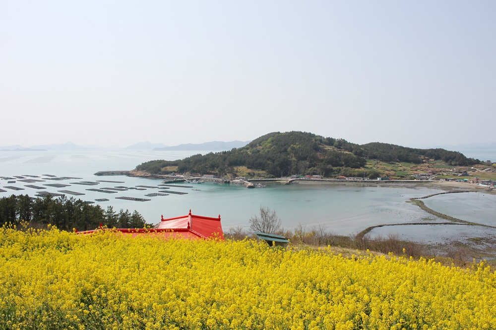 원본이미지(클릭)