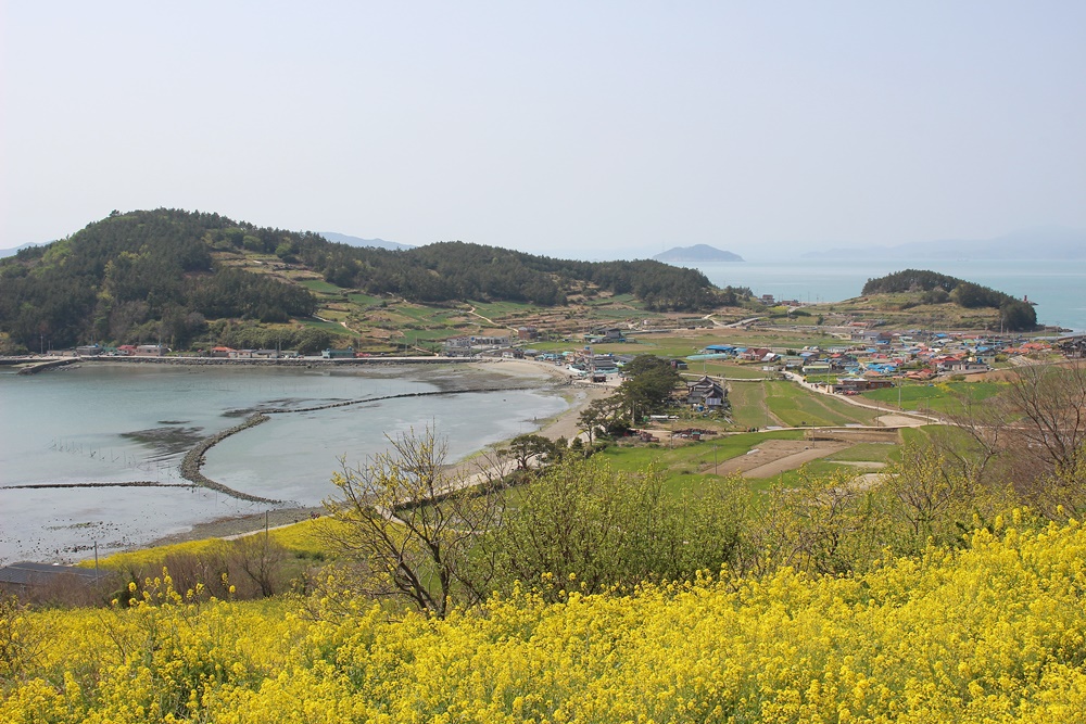 원본이미지(클릭)