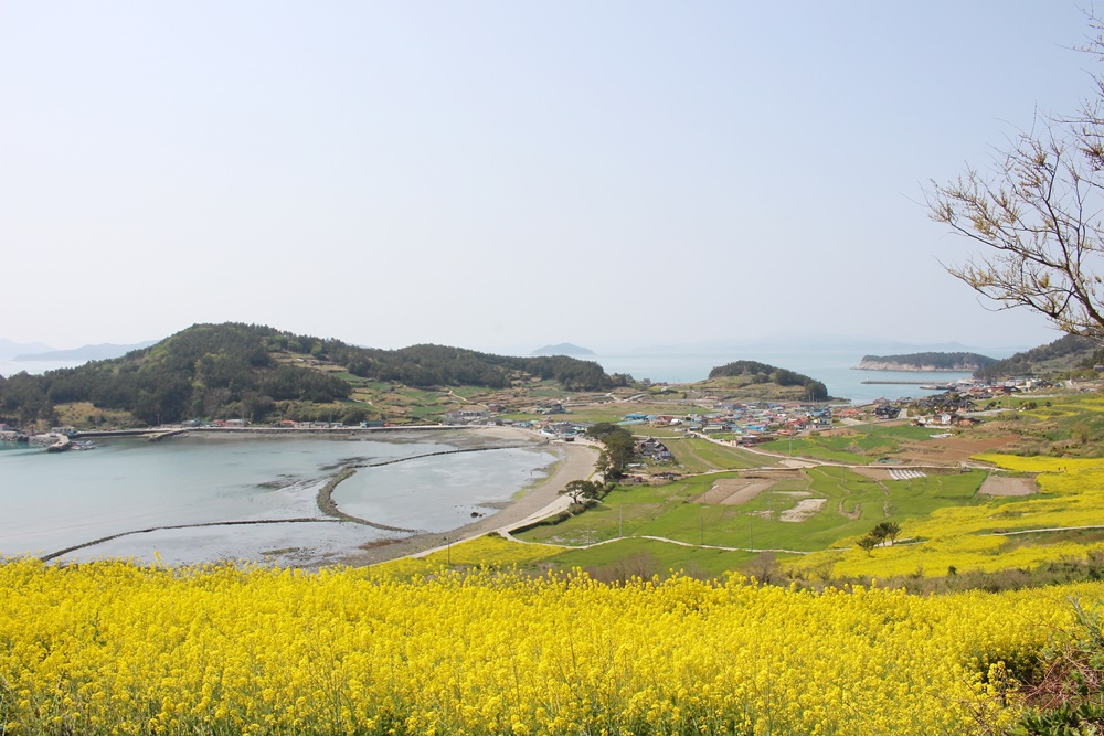 원본이미지(클릭)